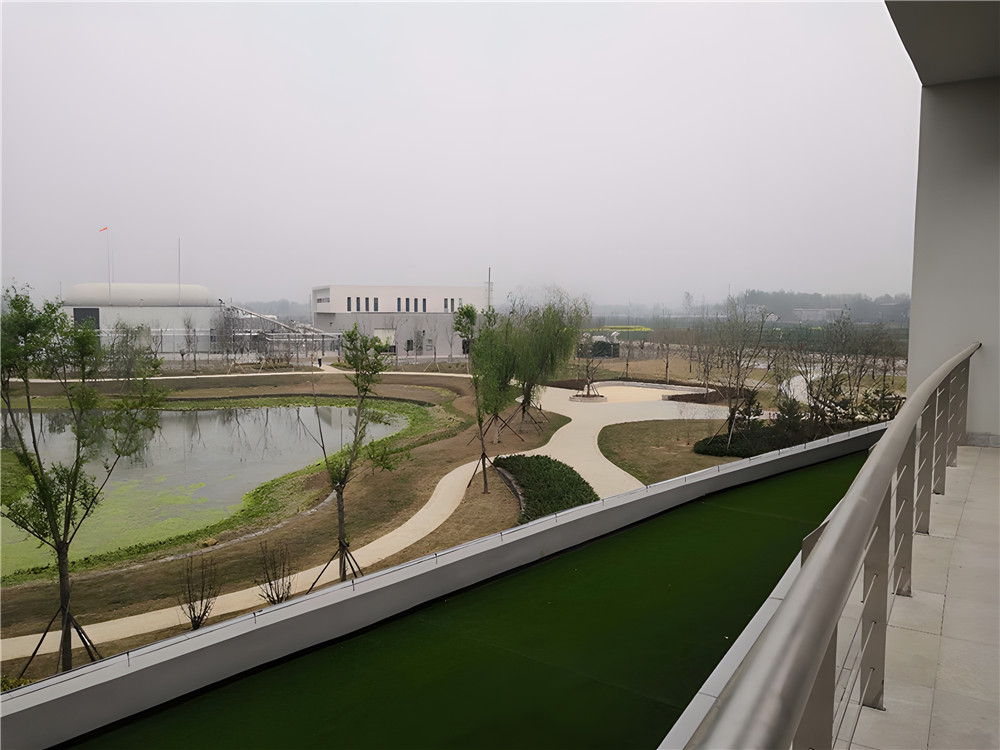 復(fù)合碳源是什么？