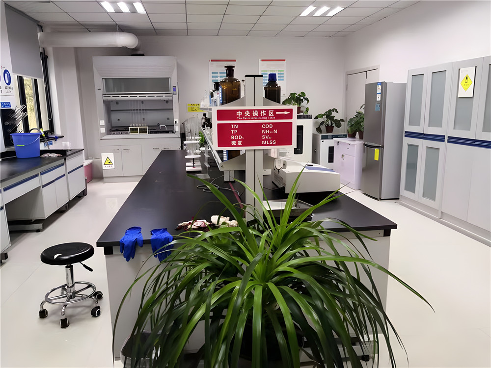 步履堅定，共繪高質(zhì)量發(fā)展新篇章